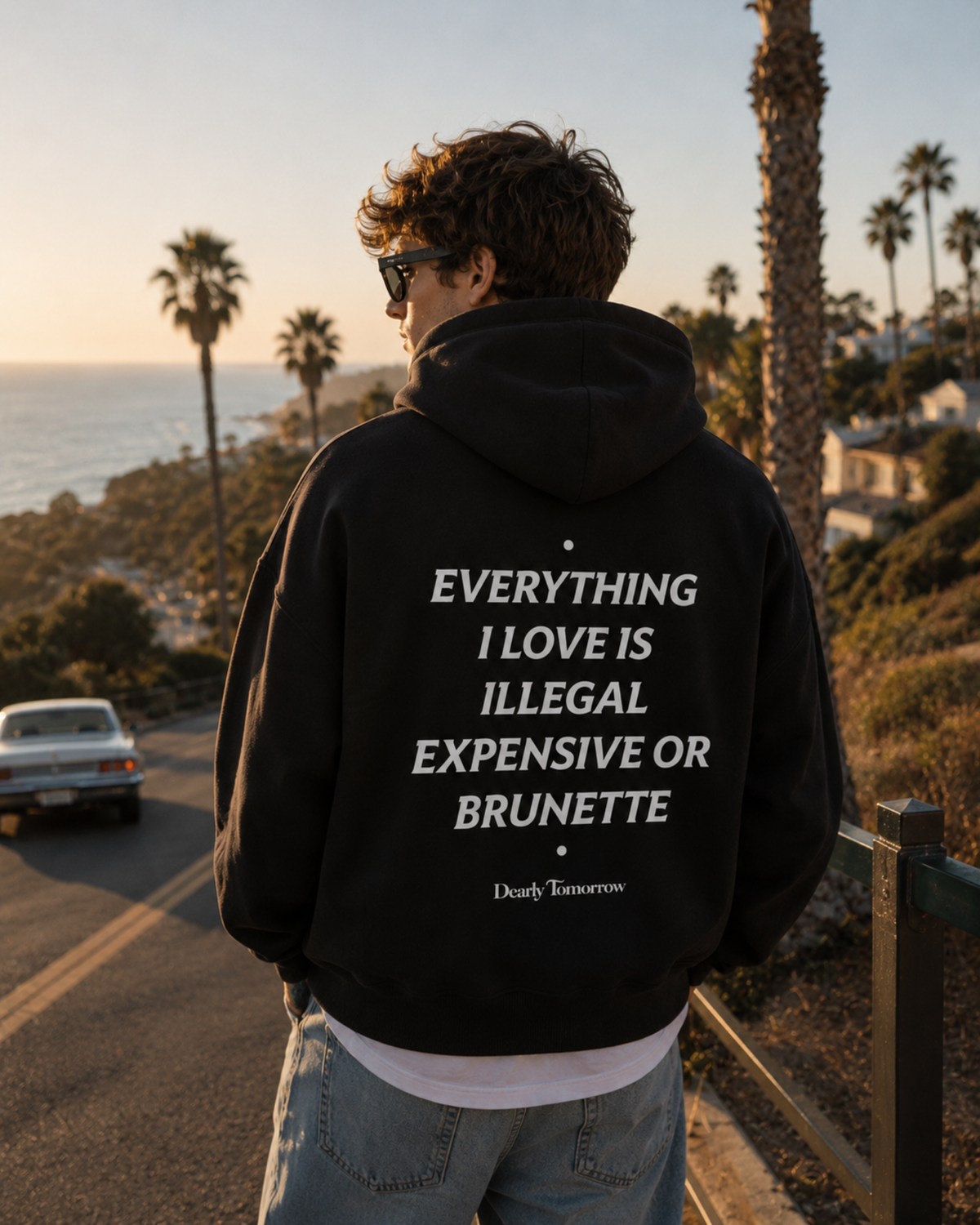 Everything I Love Is Illegal, Expensive Or Brunette Hoodie
